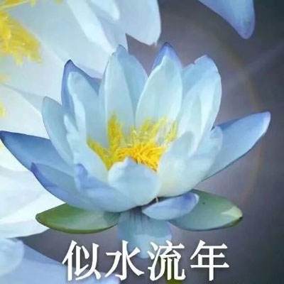 我的世界1.19种子推荐基岩版下载